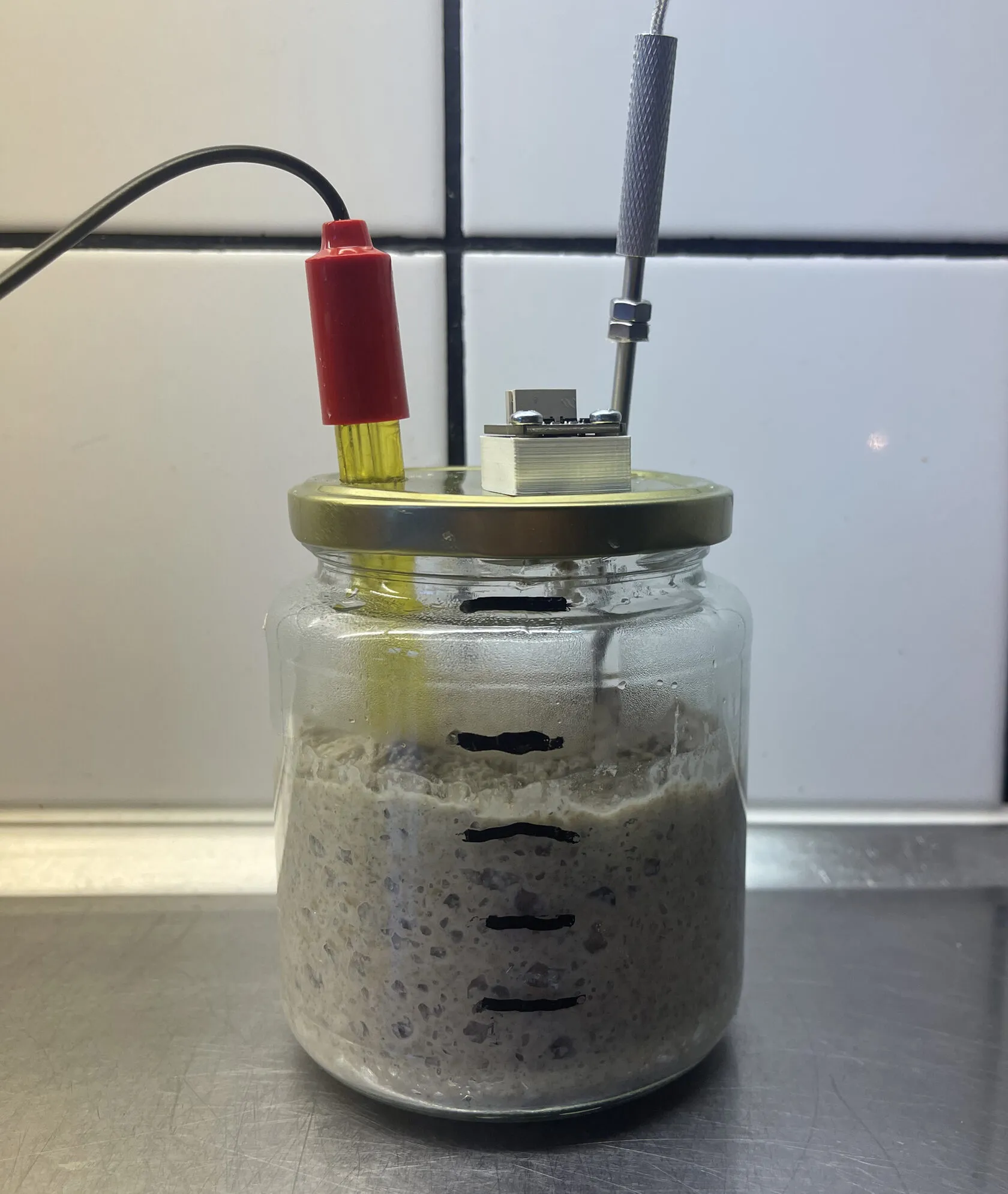 Early sensors tests with active rye sourdough