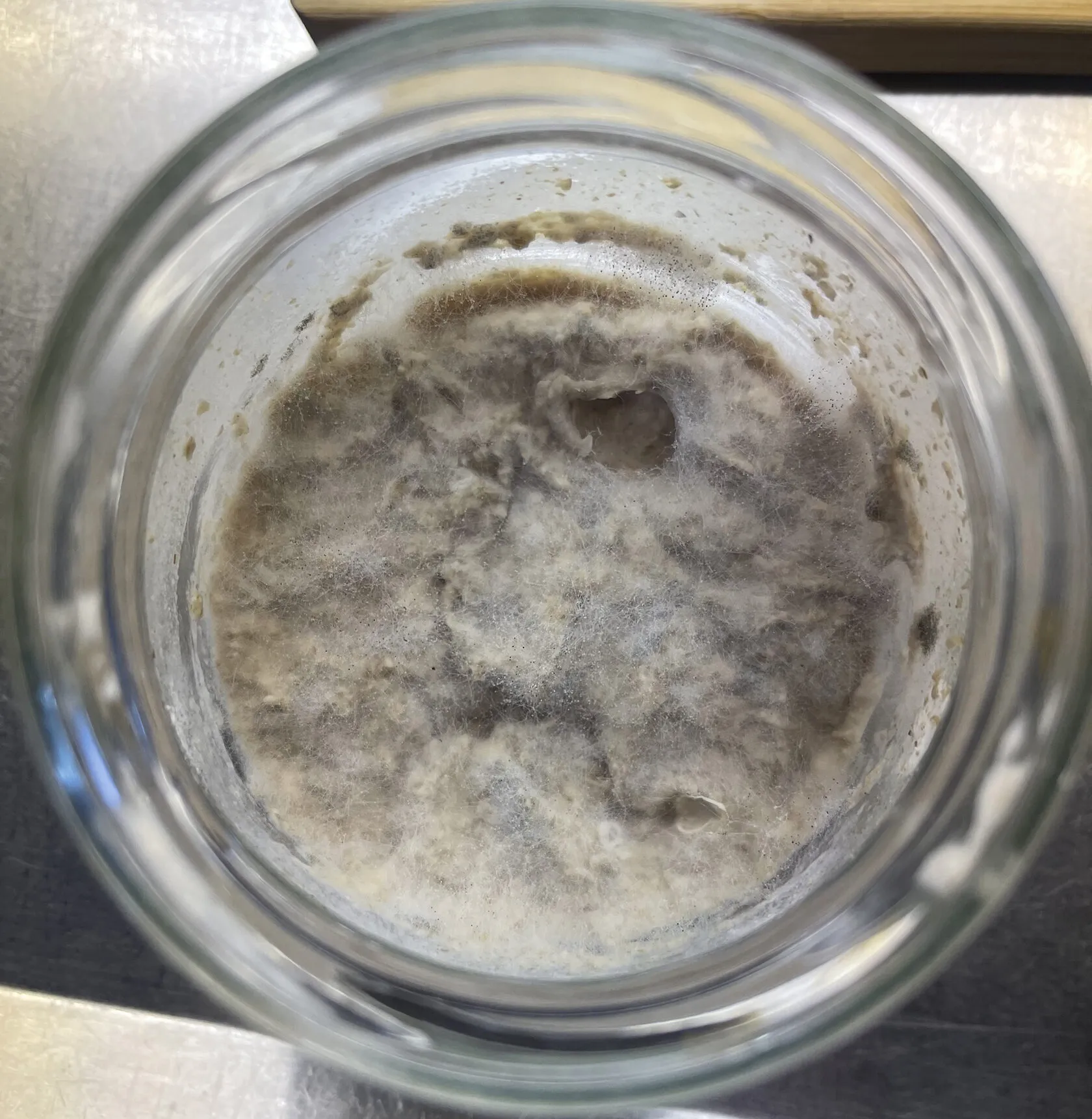 This is not how you want a sourdough to look